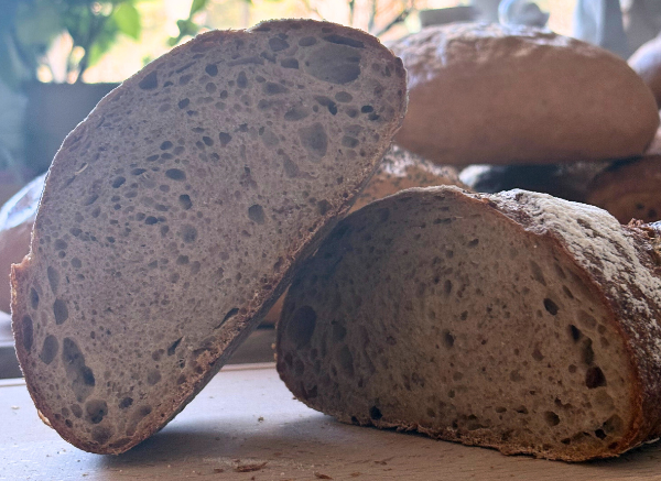 Chleb Złocisty Orkiszowy